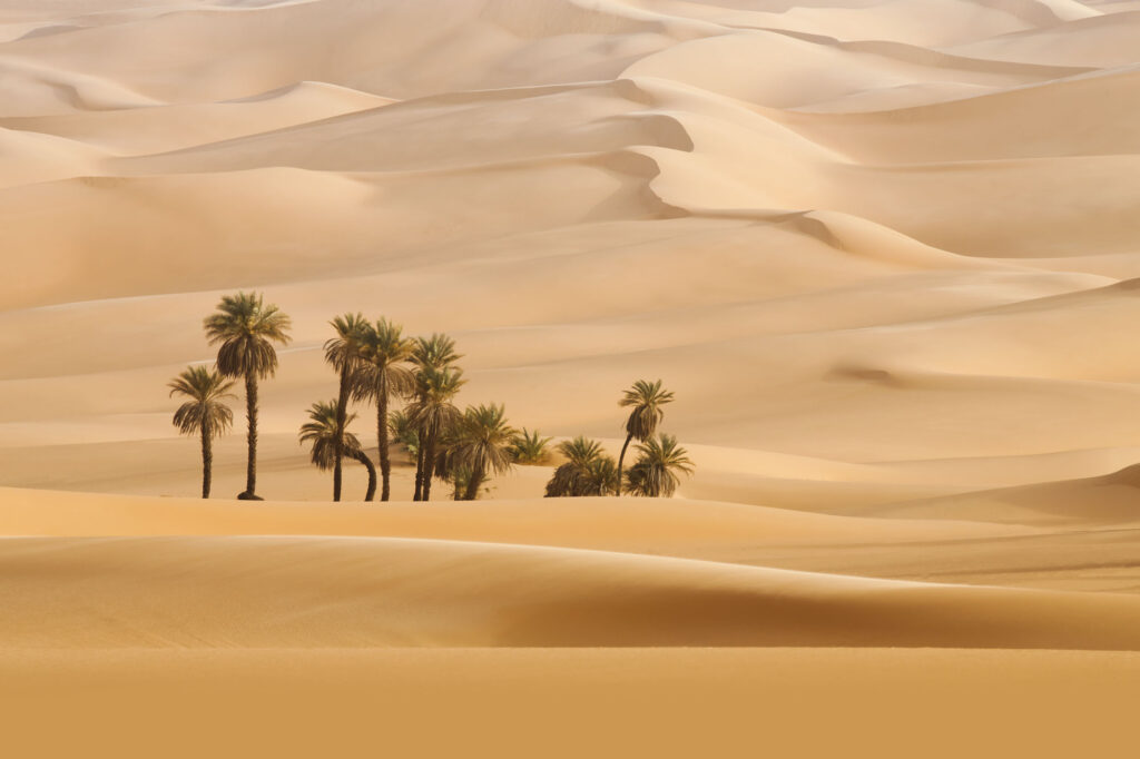 The Arabian desert is one of the largest deserts in the world